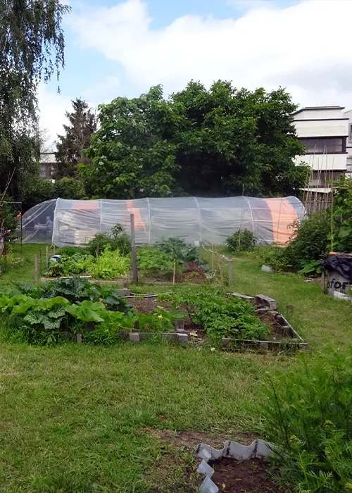 Jardin Douvrain 02