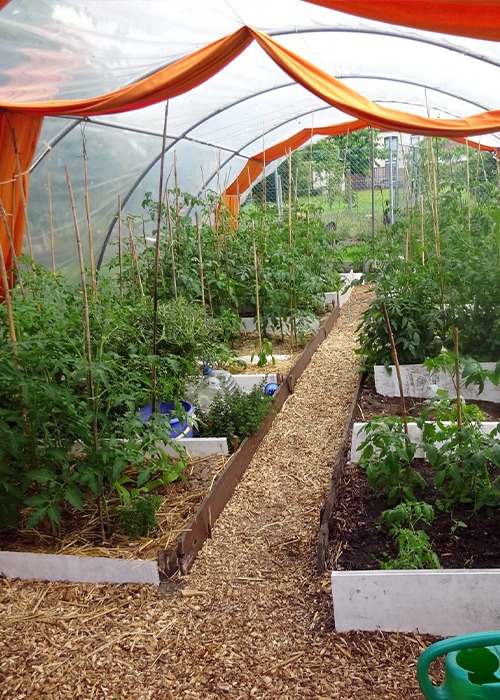 Jardin Douvrain 04