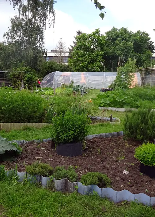 Jardin Douvrain 05